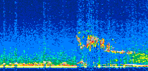 /calipso-imagery/data/BROWSE/production/V5-00/2009-05-09/2009-05-09_20-55-03_V5.00_2_thmb.png image missing