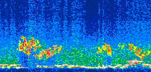 /calipso-imagery/data/BROWSE/production/V5-00/2009-05-09/2009-05-09_22-33-59_V5.00_3_thmb.png image missing