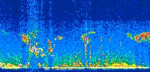 /calipso-imagery/data/BROWSE/production/V5-00/2009-06-30/2009-06-30_04-02-12_V5.00_2_thmb.png image missing
