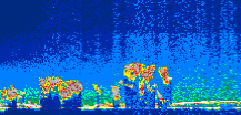 /calipso-imagery/data/BROWSE/production/V5-00/2009-06-30/2009-06-30_13-55-29_V5.00_1_thmb.png image missing
