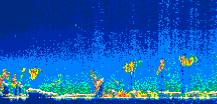 /calipso-imagery/data/BROWSE/production/V5-00/2009-06-30/2009-06-30_20-30-59_V5.00_1_thmb.png image missing