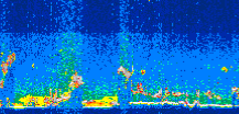 /calipso-imagery/data/BROWSE/production/V5-00/2009-08-30/2009-08-30_05-05-06_V5.00_3_thmb.png image missing