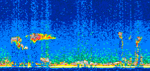 /calipso-imagery/data/BROWSE/production/V5-00/2009-08-30/2009-08-30_23-12-43_V5.00_2_thmb.png image missing
