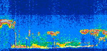 /calipso-imagery/data/BROWSE/production/V5-00/2009-09-03/2009-09-03_04-39-58_V5.00_3_thmb.png image missing