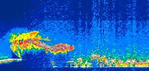 /calipso-imagery/data/BROWSE/production/V5-00/2009-09-03/2009-09-03_07-57-44_V5.00_1_thmb.png image missing