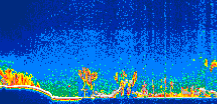 /calipso-imagery/data/BROWSE/production/V5-00/2009-09-03/2009-09-03_12-54-20_V5.00_1_thmb.png image missing