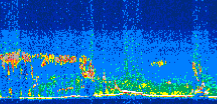/calipso-imagery/data/BROWSE/production/V5-00/2009-09-03/2009-09-03_19-29-50_V5.00_3_thmb.png image missing