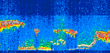 /calipso-imagery/data/BROWSE/production/V5-00/2009-09-05/2009-09-05_04-27-21_V5.00_3_thmb.png image missing