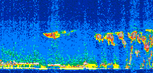 /calipso-imagery/data/BROWSE/production/V5-00/2009-09-05/2009-09-05_06-06-11_V5.00_2_thmb.png image missing