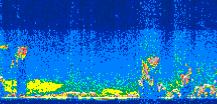 /calipso-imagery/data/BROWSE/production/V5-00/2009-09-05/2009-09-05_14-20-37_V5.00_3_thmb.png image missing