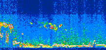 /calipso-imagery/data/BROWSE/production/V5-00/2009-09-13/2009-09-13_00-19-16_V5.00_3_thmb.png image missing
