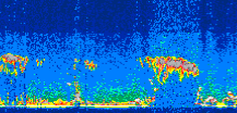 /calipso-imagery/data/BROWSE/production/V5-00/2009-09-13/2009-09-13_01-58-06_V5.00_3_thmb.png image missing