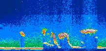 /calipso-imagery/data/BROWSE/production/V5-00/2009-09-13/2009-09-13_03-37-01_V5.00_1_thmb.png image missing