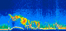 /calipso-imagery/data/BROWSE/production/V5-00/2009-09-13/2009-09-13_05-15-51_V5.00_1_thmb.png image missing