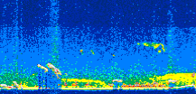 /calipso-imagery/data/BROWSE/production/V5-00/2009-09-13/2009-09-13_10-12-27_V5.00_2_thmb.png image missing