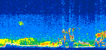 /calipso-imagery/data/BROWSE/production/V5-00/2009-09-13/2009-09-13_10-12-27_V5.00_3_thmb.png image missing