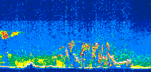 /calipso-imagery/data/BROWSE/production/V5-00/2009-09-13/2009-09-13_11-51-22_V5.00_3_thmb.png image missing
