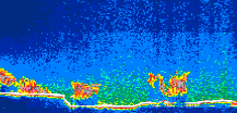 /calipso-imagery/data/BROWSE/production/V5-00/2009-09-13/2009-09-13_15-09-08_V5.00_1_thmb.png image missing