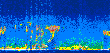 /calipso-imagery/data/BROWSE/production/V5-00/2009-09-13/2009-09-13_18-26-53_V5.00_3_thmb.png image missing