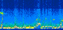 /calipso-imagery/data/BROWSE/production/V5-00/2009-09-13/2009-09-13_21-44-39_V5.00_3_thmb.png image missing