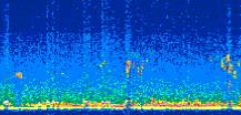 /calipso-imagery/data/BROWSE/production/V5-00/2009-09-16/2009-09-16_00-49-45_V5.00_2_thmb.png image missing
