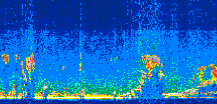 /calipso-imagery/data/BROWSE/production/V5-00/2009-09-16/2009-09-16_00-49-45_V5.00_3_thmb.png image missing