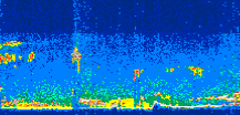 /calipso-imagery/data/BROWSE/production/V5-00/2009-09-16/2009-09-16_04-07-31_V5.00_3_thmb.png image missing