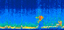 /calipso-imagery/data/BROWSE/production/V5-00/2009-09-16/2009-09-16_23-54-03_V5.00_3_thmb.png image missing