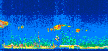 /calipso-imagery/data/BROWSE/production/V5-00/2009-09-19/2009-09-19_01-20-20_V5.00_3_thmb.png image missing