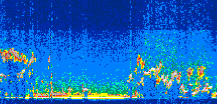 /calipso-imagery/data/BROWSE/production/V5-00/2009-09-19/2009-09-19_16-10-12_V5.00_3_thmb.png image missing