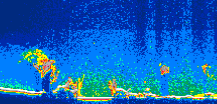 /calipso-imagery/data/BROWSE/production/V5-00/2009-09-19/2009-09-19_17-49-02_V5.00_1_thmb.png image missing