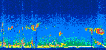 /calipso-imagery/data/BROWSE/production/V5-00/2009-09-19/2009-09-19_17-49-02_V5.00_3_thmb.png image missing