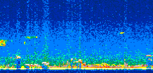 /calipso-imagery/data/BROWSE/production/V5-00/2009-09-19/2009-09-19_22-45-43_V5.00_2_thmb.png image missing