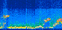 /calipso-imagery/data/BROWSE/production/V5-00/2009-09-19/2009-09-19_22-45-43_V5.00_3_thmb.png image missing