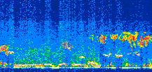 /calipso-imagery/data/BROWSE/production/V5-00/2009-09-20/2009-09-20_07-00-04_V5.00_2_thmb.png image missing