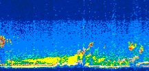 /calipso-imagery/data/BROWSE/production/V5-00/2009-09-20/2009-09-20_08-38-54_V5.00_3_thmb.png image missing