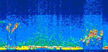 /calipso-imagery/data/BROWSE/production/V5-00/2009-09-20/2009-09-20_21-49-56_V5.00_3_thmb.png image missing