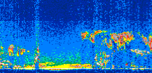 /calipso-imagery/data/BROWSE/production/V5-00/2009-09-21/2009-09-21_02-46-37_V5.00_2_thmb.png image missing