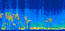 /calipso-imagery/data/BROWSE/production/V5-00/2009-09-21/2009-09-21_02-46-37_V5.00_3_thmb.png image missing