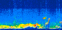 /calipso-imagery/data/BROWSE/production/V5-00/2009-09-21/2009-09-21_09-22-03_V5.00_3_thmb.png image missing