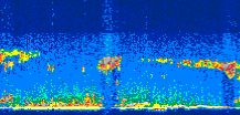 /calipso-imagery/data/BROWSE/production/V5-00/2009-09-21/2009-09-21_17-36-29_V5.00_3_thmb.png image missing