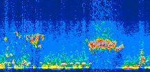 /calipso-imagery/data/BROWSE/production/V5-00/2009-09-21/2009-09-21_22-33-04_V5.00_3_thmb.png image missing