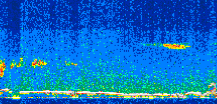 /calipso-imagery/data/BROWSE/production/V5-00/2009-09-22/2009-09-22_19-58-27_V5.00_2_thmb.png image missing