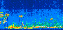 /calipso-imagery/data/BROWSE/production/V5-00/2009-09-23/2009-09-23_00-55-03_V5.00_3_thmb.png image missing