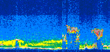 /calipso-imagery/data/BROWSE/production/V5-00/2009-09-24/2009-09-24_11-31-27_V5.00_3_thmb.png image missing