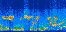 /calipso-imagery/data/BROWSE/production/V5-00/2009-09-24/2009-09-24_16-28-03_V5.00_3_thmb.png image missing