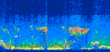 /calipso-imagery/data/BROWSE/production/V5-00/2009-09-24/2009-09-24_18-06-58_V5.00_3_thmb.png image missing