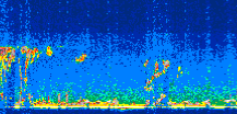 /calipso-imagery/data/BROWSE/production/V5-00/2009-09-27/2009-09-27_02-08-46_V5.00_3_thmb.png image missing