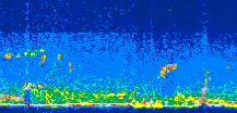 /calipso-imagery/data/BROWSE/production/V5-00/2009-09-27/2009-09-27_12-01-57_V5.00_3_thmb.png image missing