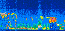 /calipso-imagery/data/BROWSE/production/V5-00/2009-09-28/2009-09-28_02-51-54_V5.00_3_thmb.png image missing
